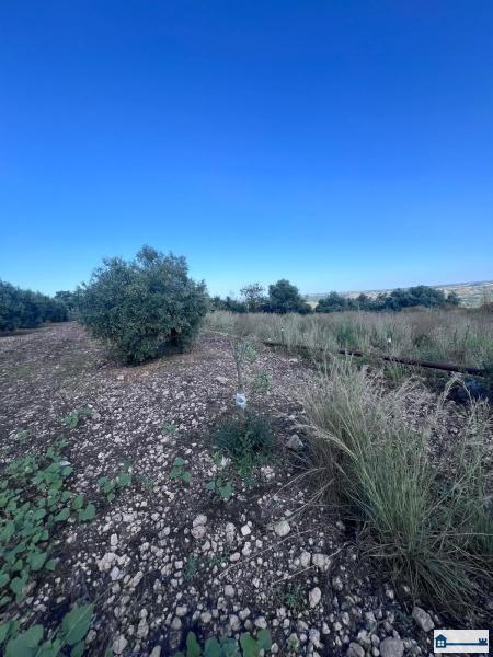 PHOTO-2025-07-09-11-42-40 (19).jpg